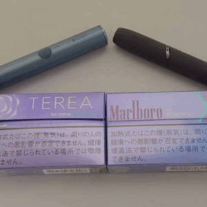 藍莓果香!IQOS TEREA PURPLE MENTHOL藍莓煙彈口味測評